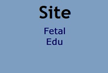 icon site fetaledu